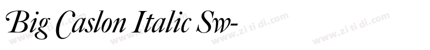 Big Caslon Italic Sw字体转换 Big Caslon Italic Sw字体转换